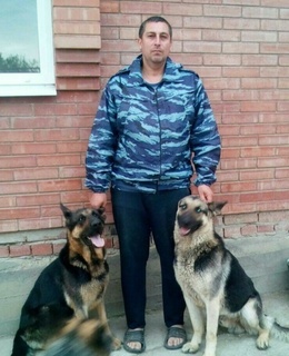 Борис — фото 2