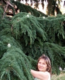 Ольга — фото 17