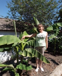 Ольга — фото 15